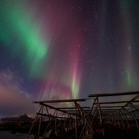 Fish Factory -The Real Lofoten Experience Ballstad Eksteriør bilde